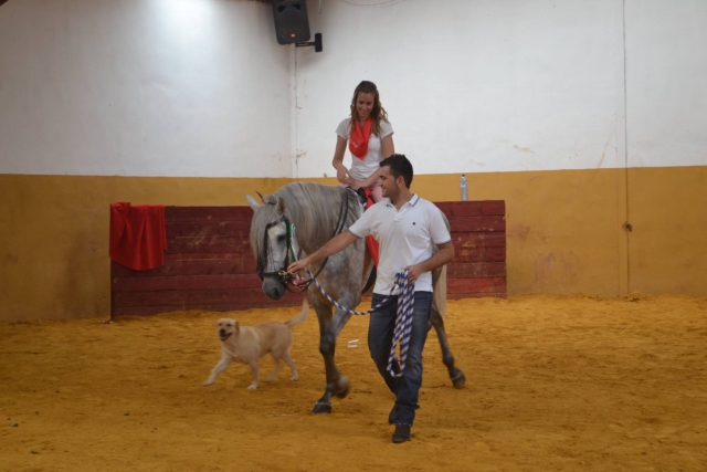 Con el caballo y el perro